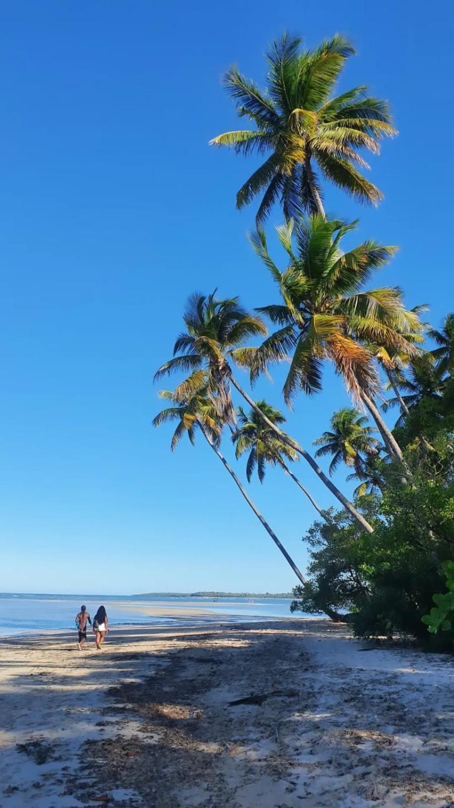 Pousada Village Feliz Boipeba Velha Boipeba エクステリア 写真